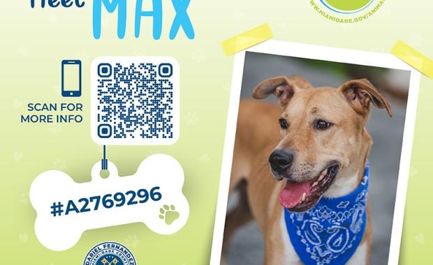 Pet of the Week: Tax Collector Dariel Fernandez Encourages Residents to Support Shelter Pets in Need