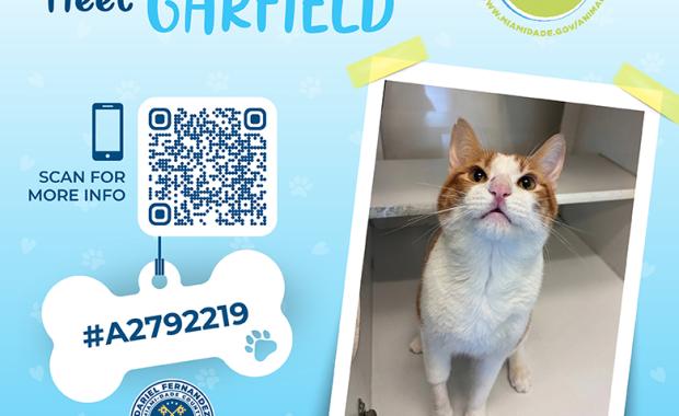 Pet of the Week: Tax Collector Dariel Fernandez Encourages Residents to Support Shelter Pets in Need